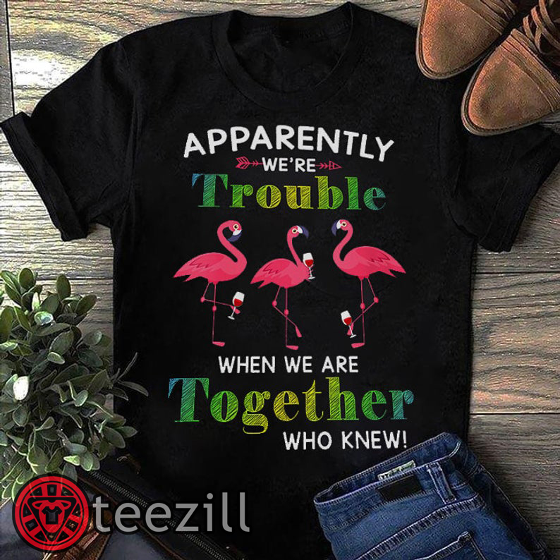 https://teezill.com/wp-content/uploads/2019/07/Apparently-We-Are-Trouble-When-We-Are-Together-Who-Knew-Funny-Flamingo-Party-Vacation-Gift-For-Friends-Team-Group-Camping-Girls-T-Shirt.jpg