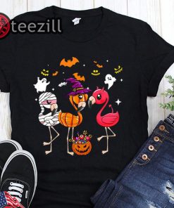 Flamingo halloween pumpkin witch ghost halloween shirt