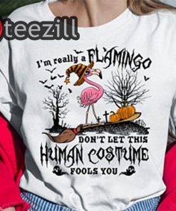 I'm A Really Flamingo Don't Let This Human Costume Fools You Shirt