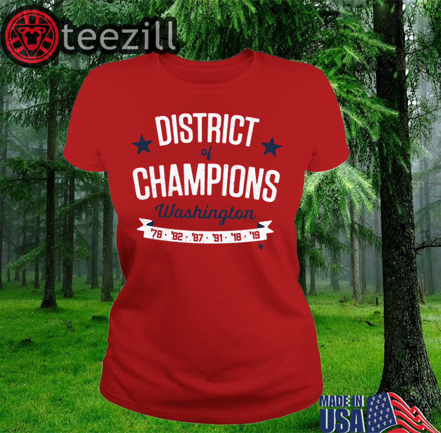 Washington District of Champions Shirt - teezill