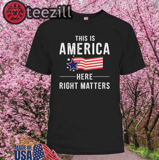 This is America Here Right Matters 2020 Alexander Vindman Shirt