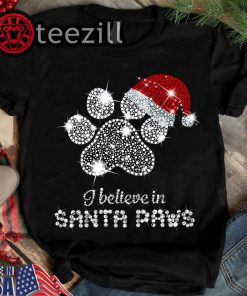 I Believe Santa Paws Dog Diamond Santa Hat Christmas Shirt