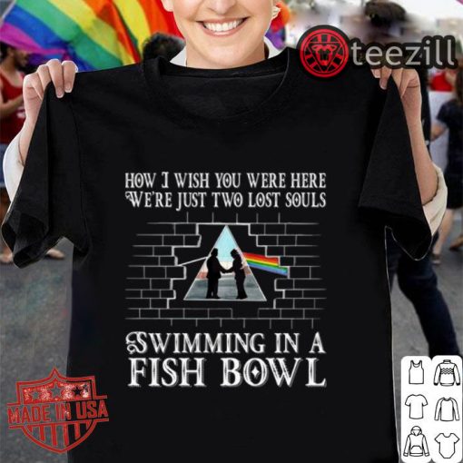 Pink Floyd how i wish you were here we're just two lost souls t-shirt