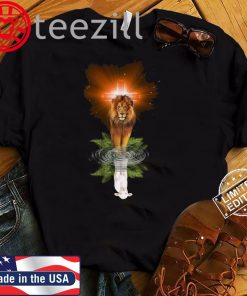 Lion Cross Jesus Reflection Water Mirror Shirt