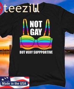 Not Gay But Very Supportive LGBT Straight Ally Bra Meme Human Flag Shirt Gift For Lgbt