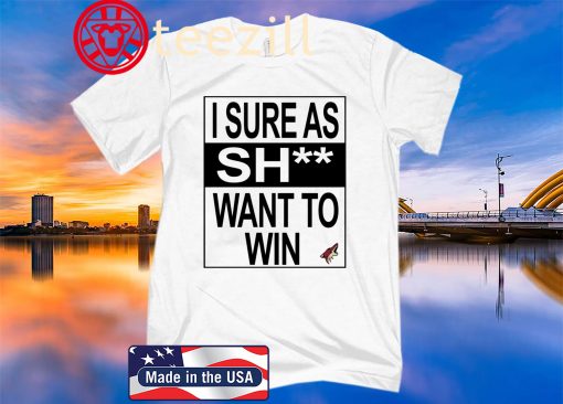 I Sure As Sh** Want to Win T-Shirt