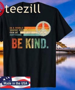 Kindness In A World Where You Can Be Anything Be Kind Autism Shirt