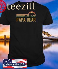 Vintage Papa Bear - Daddy Wildling Father's Day 2020 Dad Gift Shirt