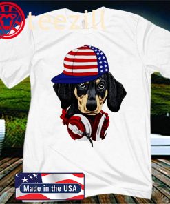 Dachshund With American Flag Hat And Headphone T-Shirt