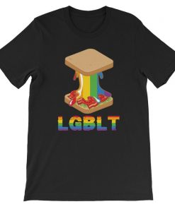 Gay Pride Shirt, No Hate Shirt, Bi Shirt, LGBTQ Shirt, Gay Rainbow Shirt, Resist Shirt, Equality Shirt, Protest Shirt