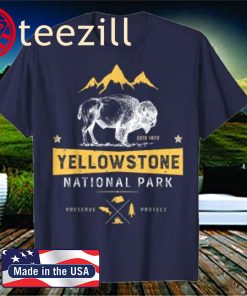 Yellowstone T shirt National Park US Bison Buffalo Vintage 2020 Shirt