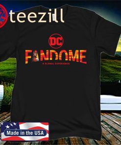 DC Fandome Flash Logo Fill T-Shirt