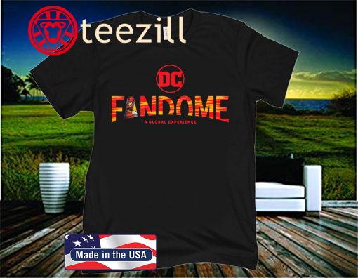 DC Fandome Flash Logo Fill T-Shirt
