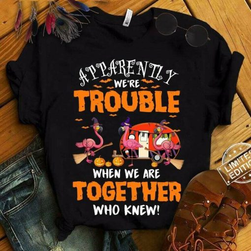 Apparently We're Trouble When We Are Together Who Knew Tee Funny Halloween Pumpkin shirt Gift For Men Women Shirt