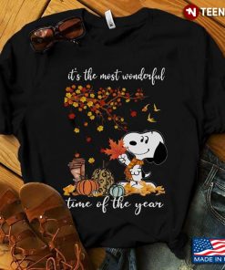 Autumn Snoopy It’s the most wonderful time of the year kids shirt