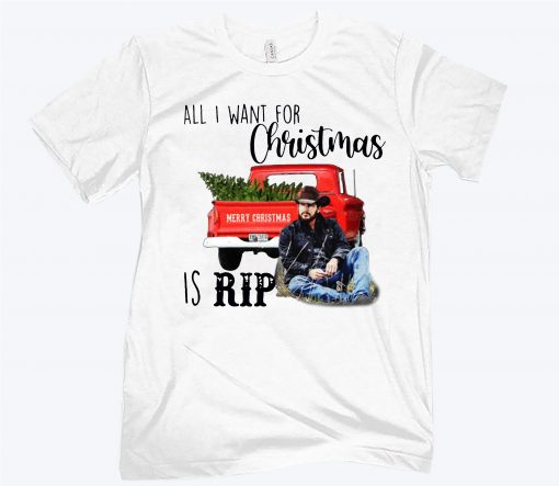 All I Want For Christmas Is Rip Hoodies T-Shirt