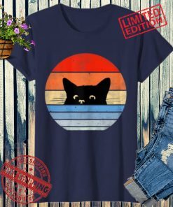 Retro Cat Shirt, Cat Shirt, Vintage Cat Shirt, Cat Lover T-Shirt