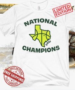 WACO CHAMPIONS TEE SHIRT