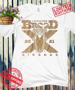 Cicadas Brood X The Great Eastern Brood T-Shirt