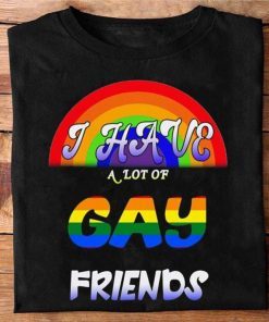 I Have A Lot Of Gay Friends Shirt, Lgbt Pride, Love is love, Gay Pride Gift, Lesbian Matching, LGBT Equality Shirt