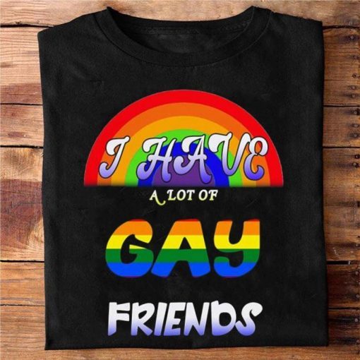 I Have A Lot Of Gay Friends Shirt, Lgbt Pride, Love is love, Gay Pride Gift, Lesbian Matching, LGBT Equality Shirt