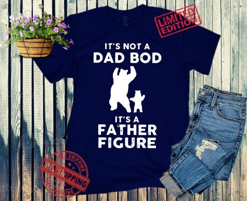 It's Not a Dad Bod It's a Father Figure, Funny Dad and Baby Bear, Fathers Day T-Shirt