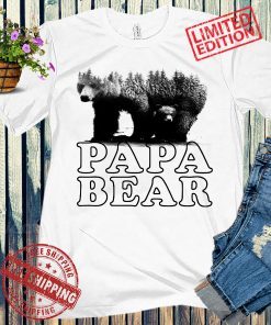 Papa Bear Fathers Day Gift For Dad Daddy Funny Mens Shirt