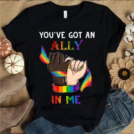 You are got an Ally In Me Lgbt Pride Shirt, Gay Pride LGBT Lesbian Shirt