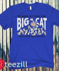 16 More Kittens for Big Cat Hoodie Shirt