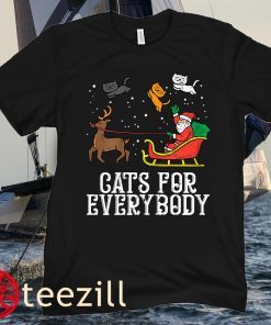 Cats For Everybody Santa Funny Christmas Young Kids Hoodies Tee Shirts