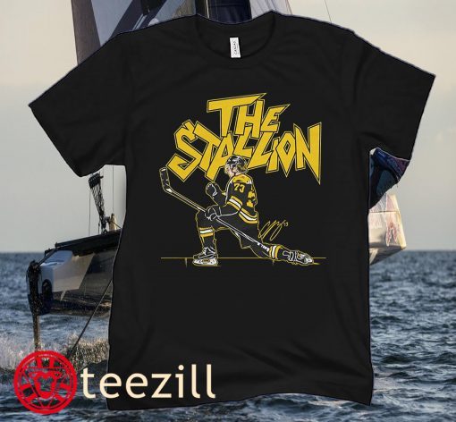 Charlie McAvoy The Stallion Boston Tee Shirts