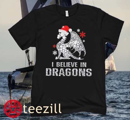 I Believe In Dragons Xmas Tee Shirts