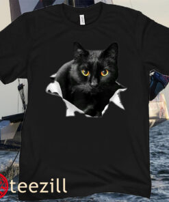 Black Cat Torn Cloth Gifts, Cat Dad, Cat Mom Tee Shirt