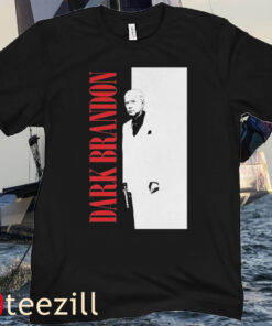 Dark Brandon T-Shirt, Dark Brandon Meme, Pro Biden Shirt, Vote Blue Biden 2024, President Biden Shirt