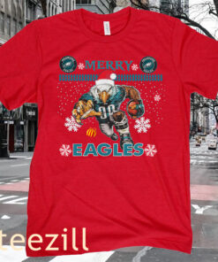 Philadelphia Eagles For Christmas Gifts Hoodies Sweatertee