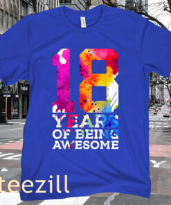 18TH YEARS OF BEING AWESOME BIRTHDAY SHIRT
