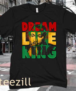 January 15 Black History Month I Dream Luther King Day Shirt