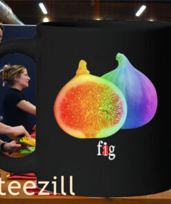 Fig Pride Month Meme Mug