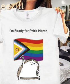 I’m ready for Pride Month Hedgehog Flag Shirt