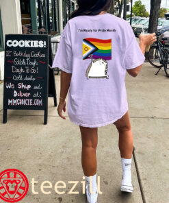 I’m ready for Pride Month Hedgehog Flag Shirt Unisex