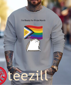 I’m ready for Pride Month Hedgehog Flag Shirts