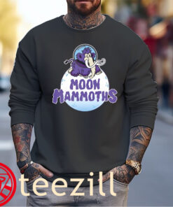 Moon Mammoths Erie Seawolves Br Shirt Sweater