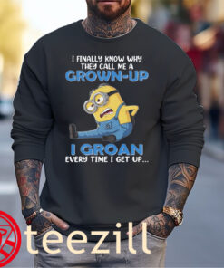 Minions Funny Grown-Up I Groan Shirt Sweater