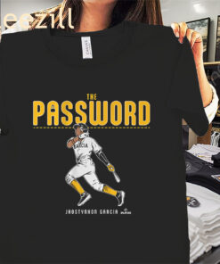 Pittsburgh Password Shirt Baseball in Pittsburgh Tee