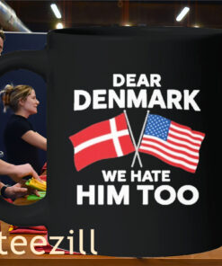 Dear Denmark We Hate Him ToK Mug