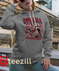 Indiana A Season To Remember Legend Shirt - Indiana Football Tees