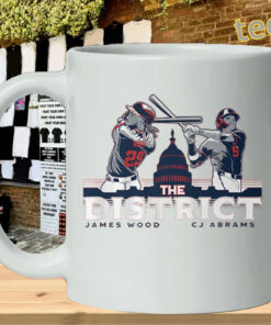 Washington Baseball Fans Gear-mug-design
