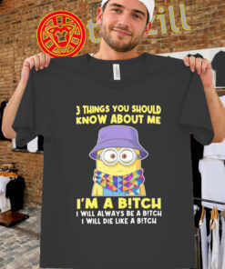 Minion 3 Things You Should Know About Me Shirt – Funny Meme Tee