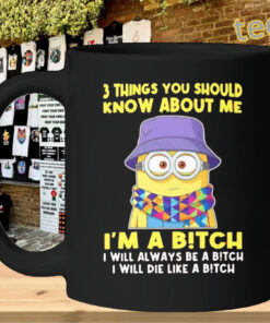 Minion 3 Things You Should Know About Me – Funny Meme mug