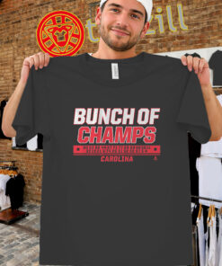 Bunch of Jerks to Bunch of Champs Shirt - Carolina Hockey Tee-unisex